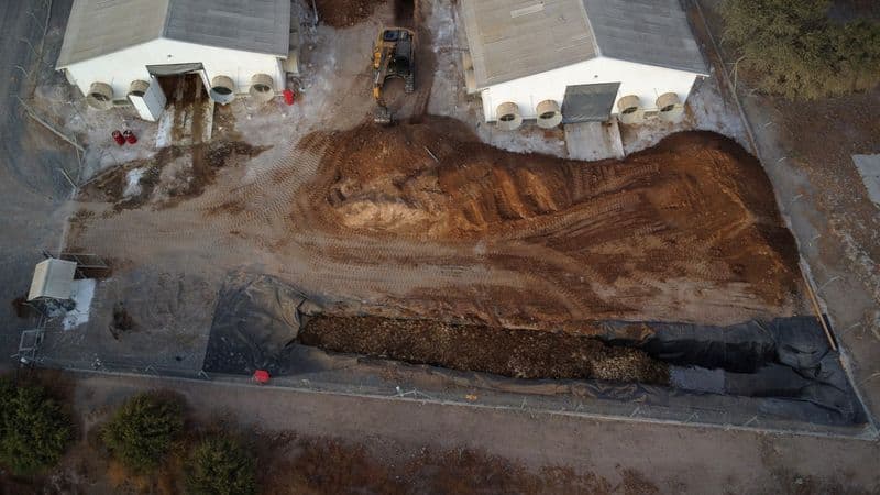 China proíbe carne de frango do Chile após surto de gripe aviária