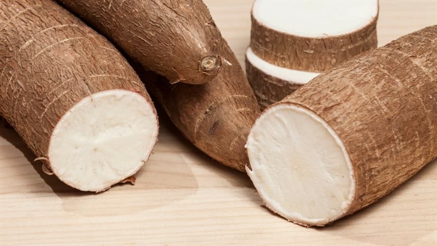 Cotações da Mandioca Sobem Novamente em Função da Oferta Limitada