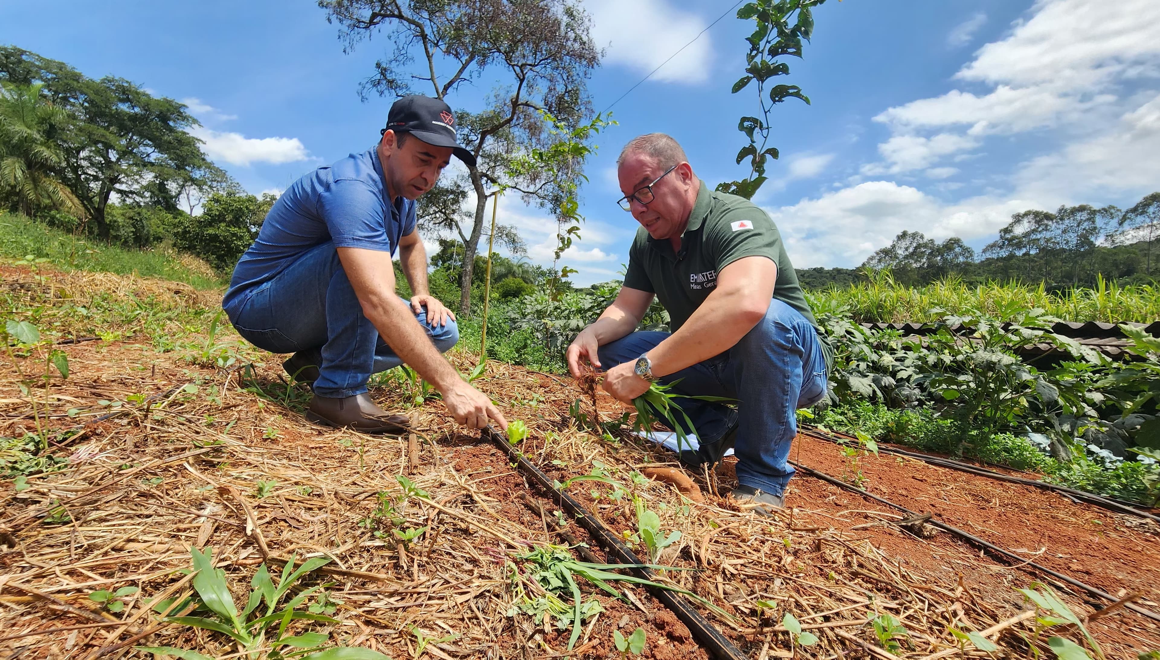 Assistência técnica rural sofre cortes de investimento em 2025