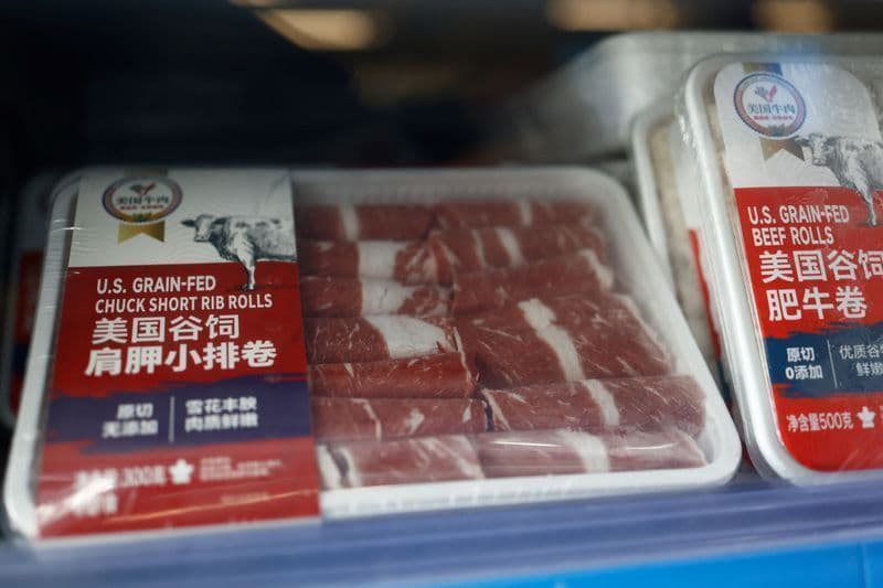 Brasil se prepara para novas exigências da UE sobre carne bovina