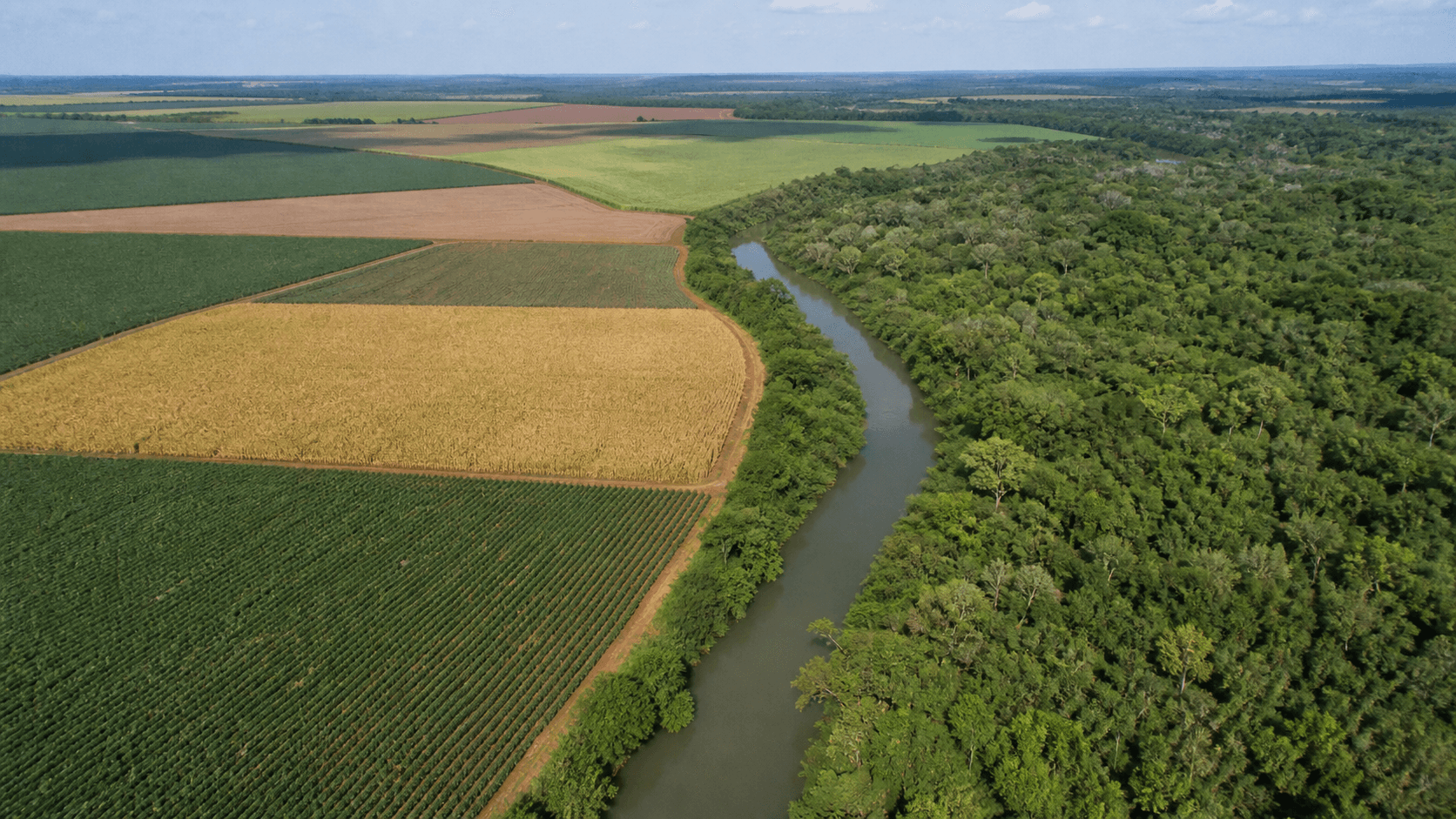 Senado aprova lei de regularização ambiental com prazos definidos