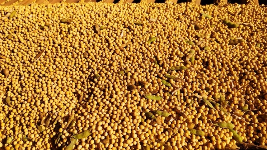 Brasil trilha caminho para se tornar líder sustentável nas exportações de soja