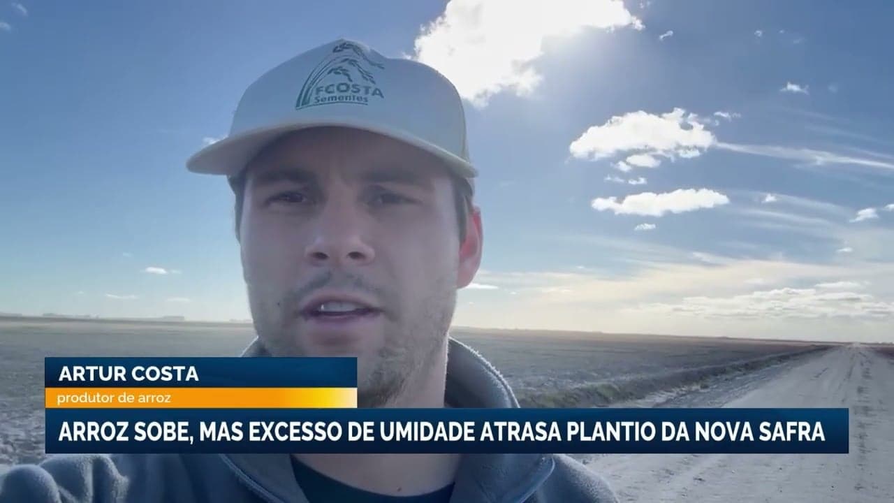 Preço do arroz no Rio Grande do Sul sobe, mas plantio enfrenta dificuldades