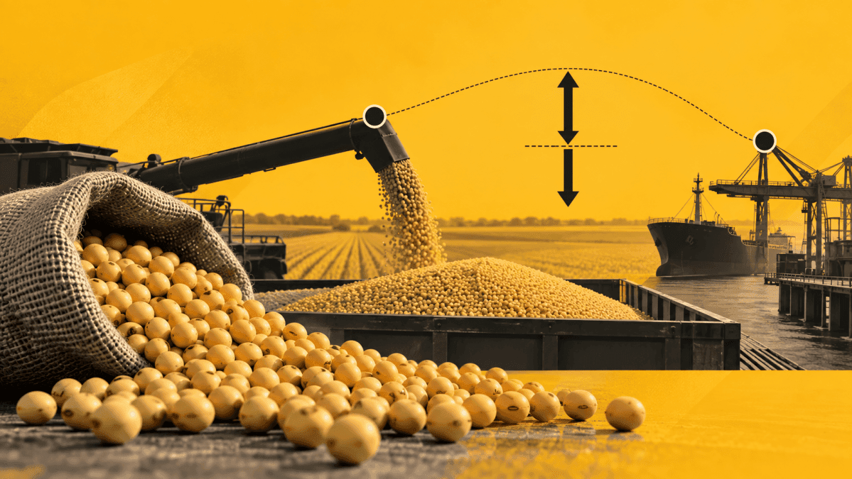 Diferencial de preços entre mercado físico e contratos futuros de commodities