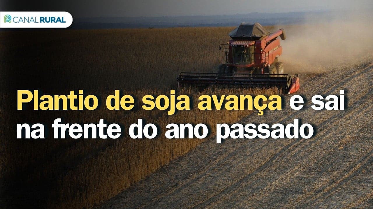 Plantio de soja nos EUA avança com previsões climáticas preocupantes