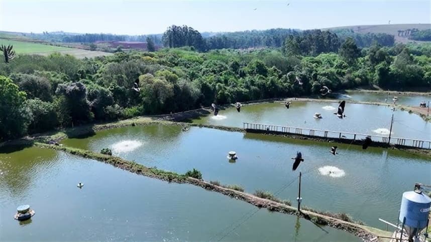 FAO e Embrapa lideram iniciativa para medir emissões da aquicultura