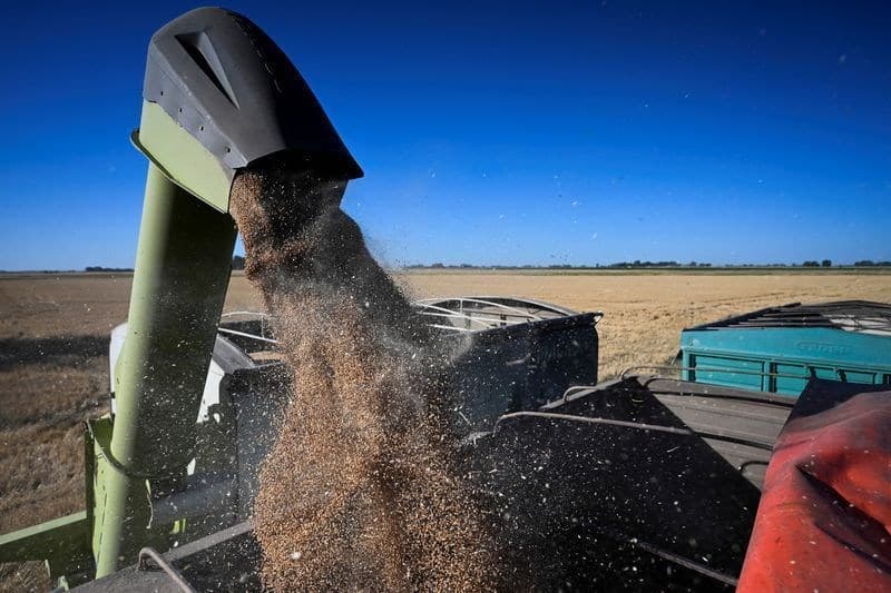 Argentina prevê receita recorde em exportações agrícolas devido à alta safra