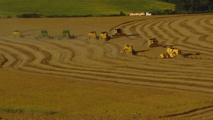 Paraná lidera plantio da safra 2026/27 com 3,4% da área semeada
