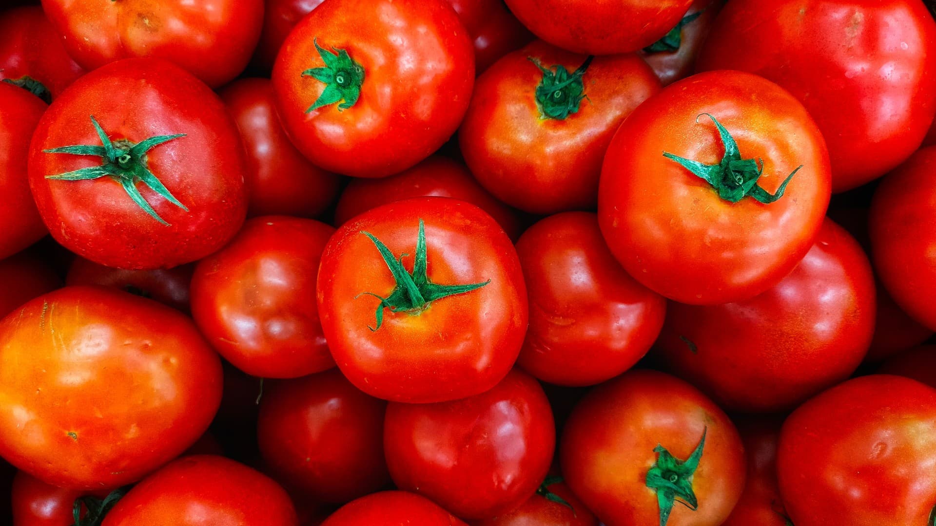 Alta nos preços do tomate impacta mercados em SP e RJ