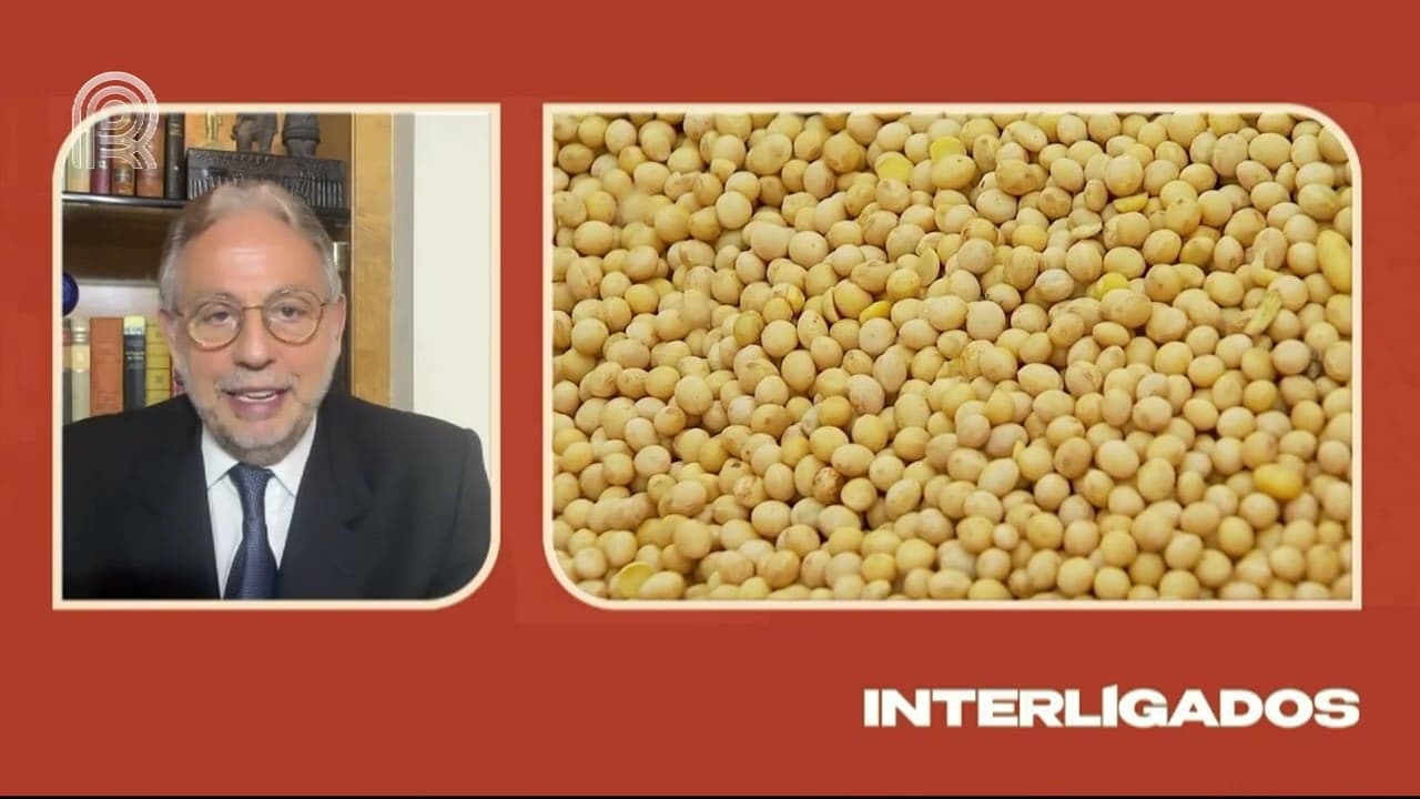 China planeja cortar uso de farelo de soja, afetando Brasil