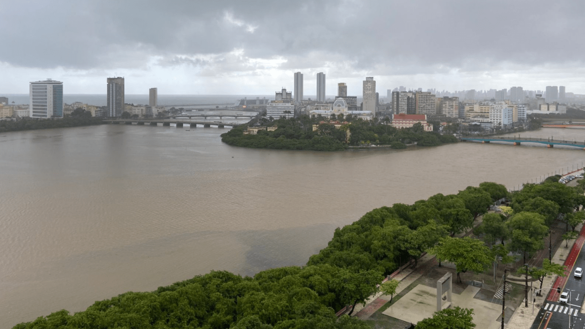 Recife é responsabilizado por danos a veículo causado por galho de árvore