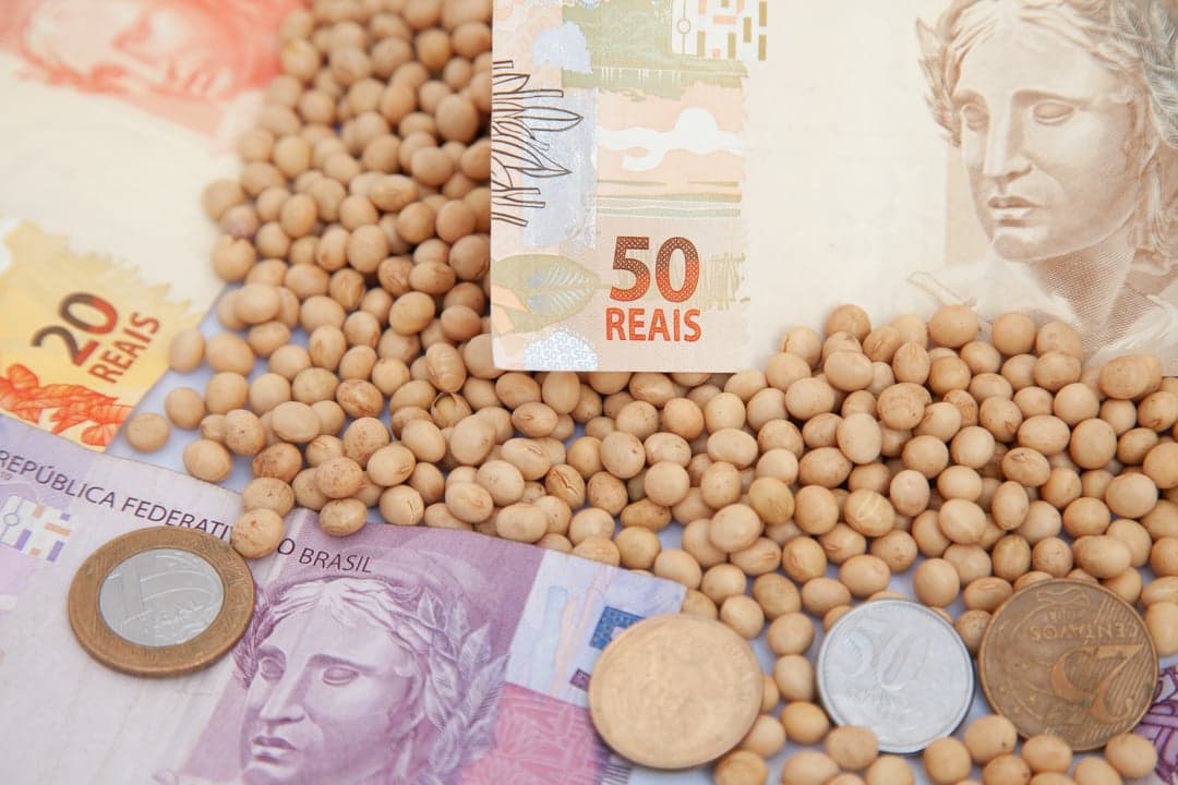 Mercado de soja no Brasil apresenta oscilações mistas e baixa movimentação