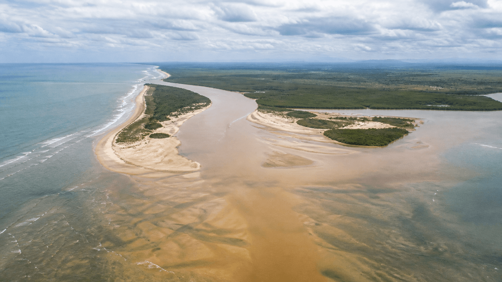 Estudo revela deformações recordes em peixes no litoral do Espírito Santo
