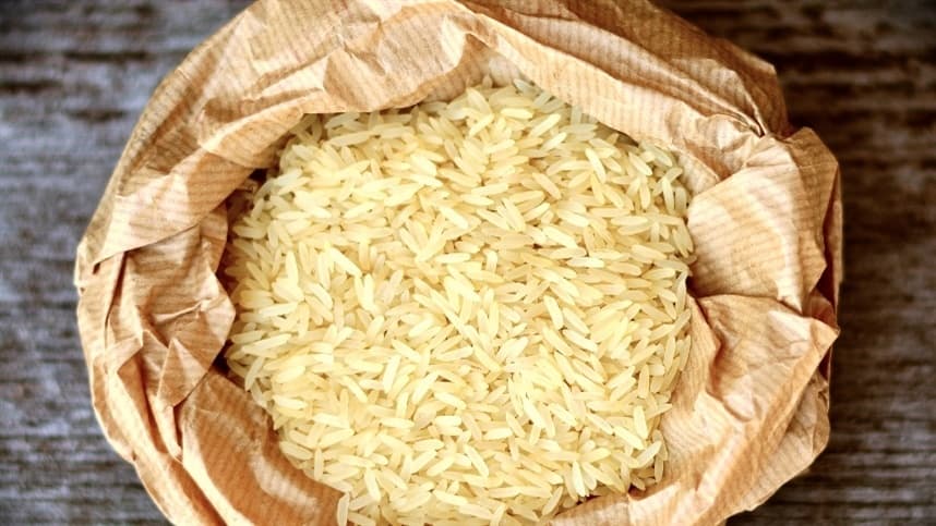 Safra de arroz em Santa Catarina terá queda em área e produtividade