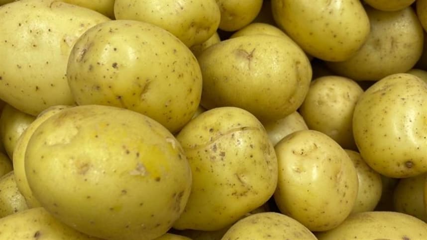 Preços da batata continuam em queda no atacado pela terceira semana seguida