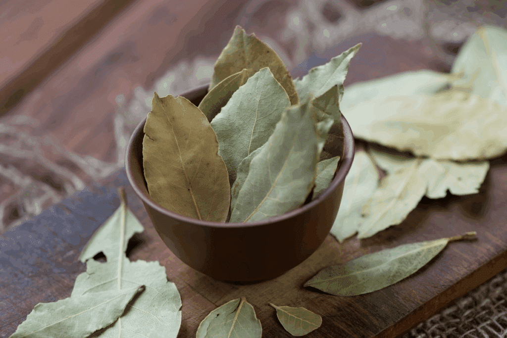 8 benefícios do chá de louro para a saúde
