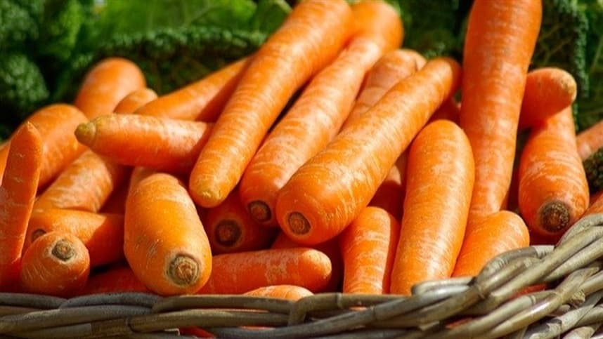 Cenoura em São Gotardo registra queda de preços devido à alta oferta