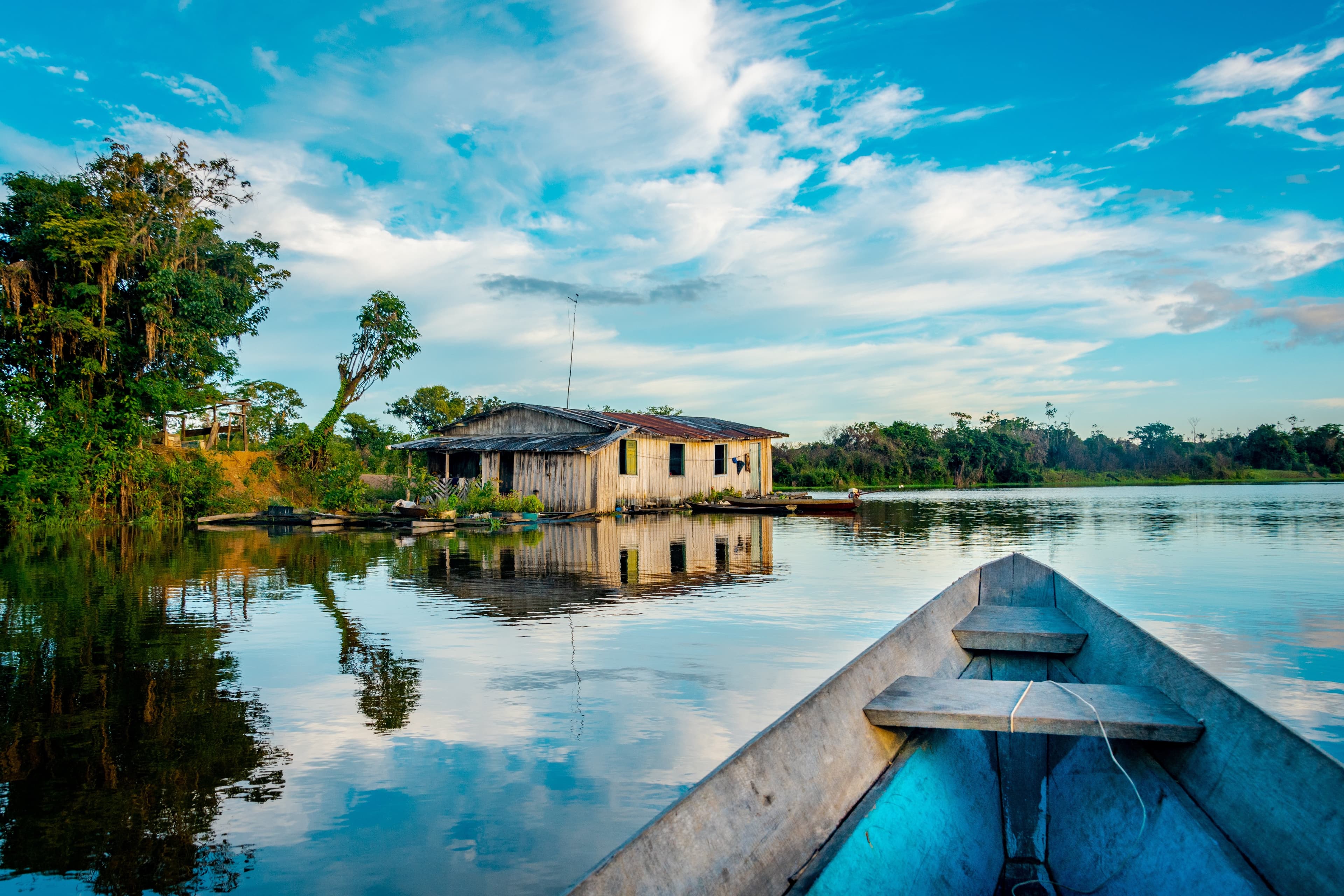 Relatório destaca biodiversidade da Bacia Amazônica e ameaças à conservação
