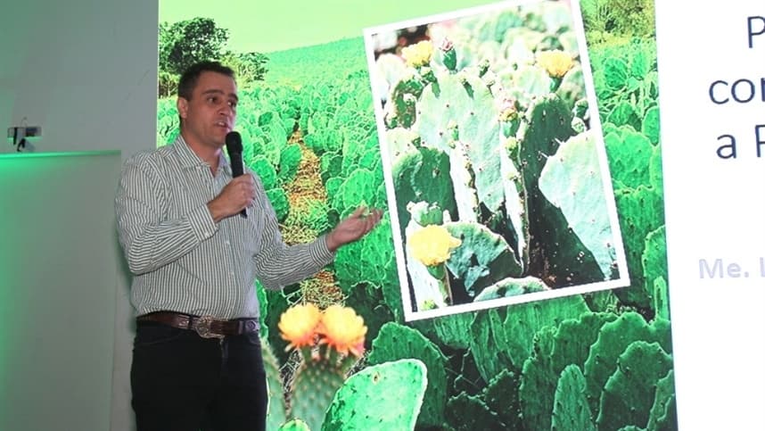 Palmatech 2026 discute cultivo de palma no Semiárido mineiro