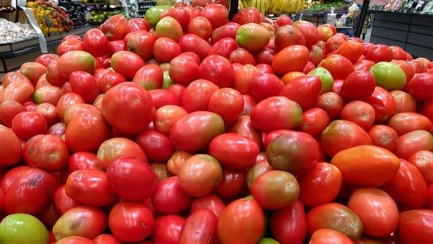 Preços do tomate continuam em alta no mês de dezembro