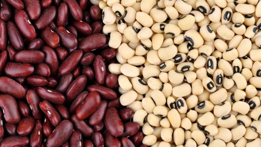 Deficiências nutricionais afetam crescimento do feijão