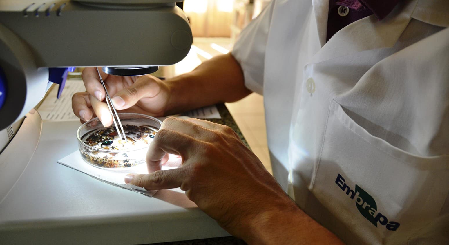 PIB da agropecuária brasileira alcança R$ 775,3 bilhões em 2025