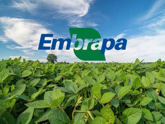 Embrapa preserva 120 mil sementes em um dos maiores bancos genéticos do agro
