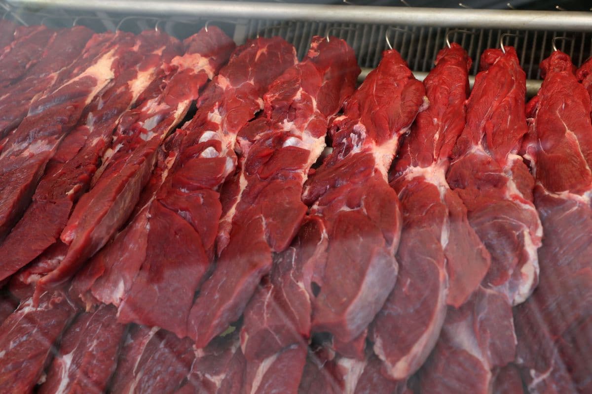 USDA lança programa para apoiar frigoríficos de pequeno e médio porte