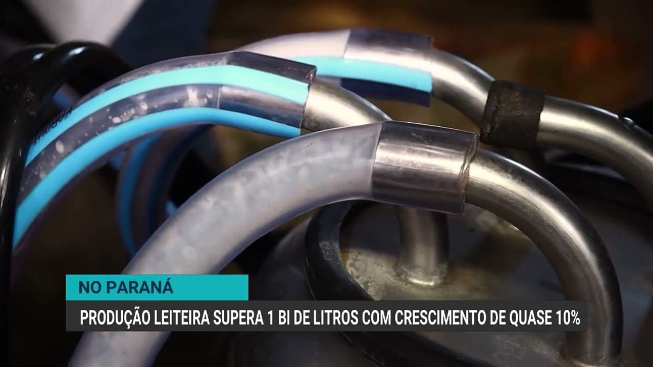 Produção de leite no Paraná cresce 8,8% e supera 1 bilhão de litros