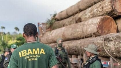 Câmara aprova exigência de câmeras em fiscalizações ambientais