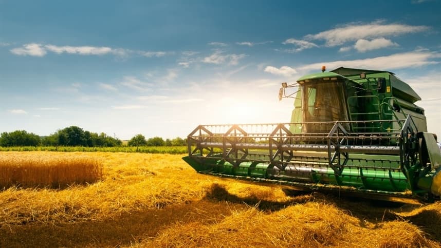 Agropecuária argentina vê queda em produtividade após 2000