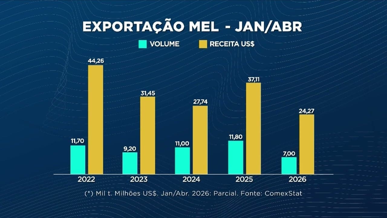 Exportações de mel e madeira do Brasil caem drasticamente em 2023