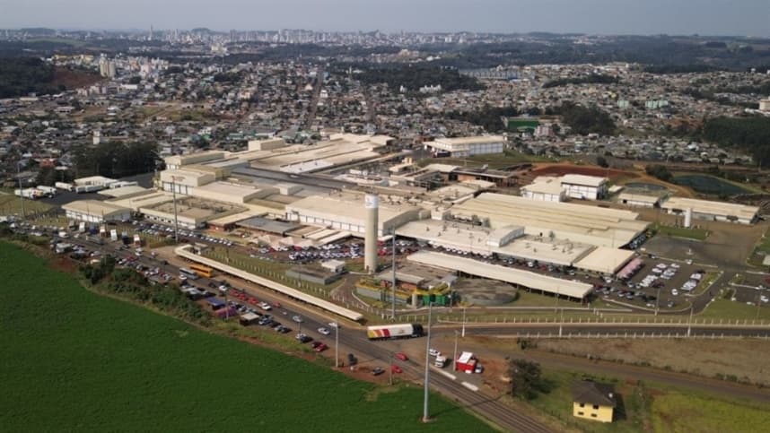 Grande Oeste de SC lidera abate de suínos em 2025 com 70%