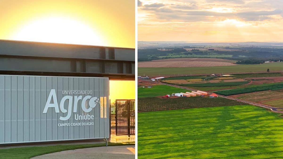 Cidade do Agro transforma educação no agronegócio em Uberaba