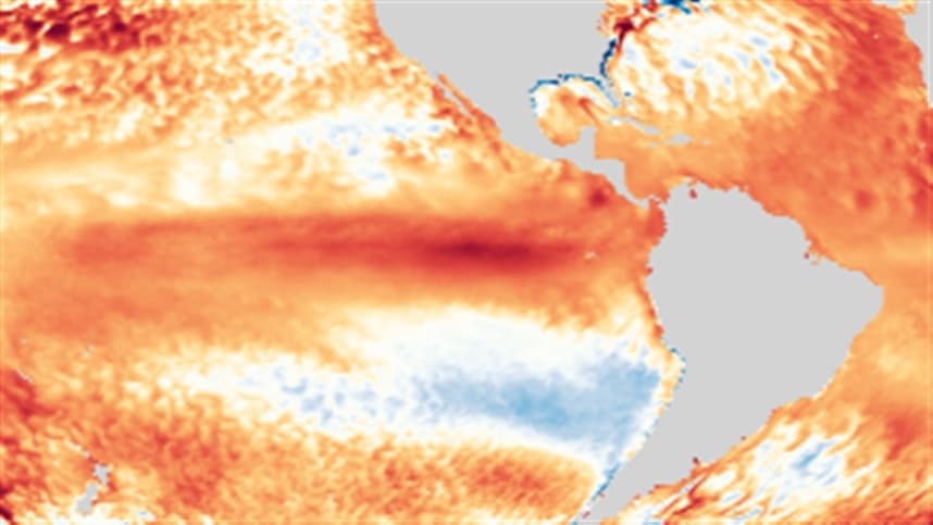 Impactos climáticos ameaçam agropecuária e movimentam estratégias
