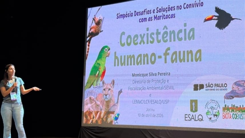 Simpósio discute impacto das maritacas na agricultura em Jarinu