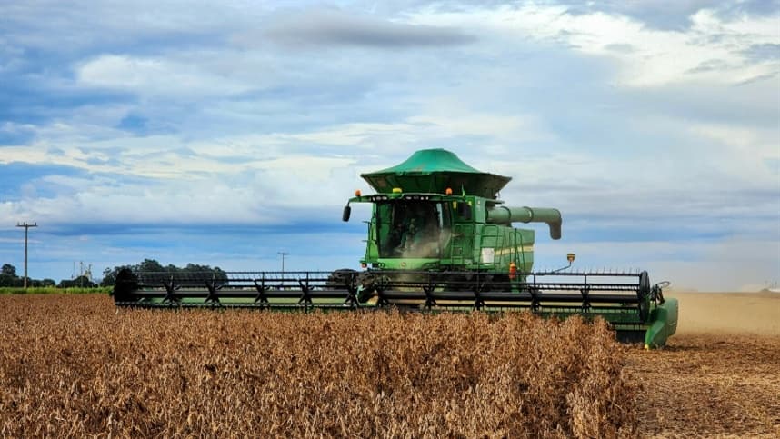 Safra 2023/2024: Garantia de volume e qualidade em destaque