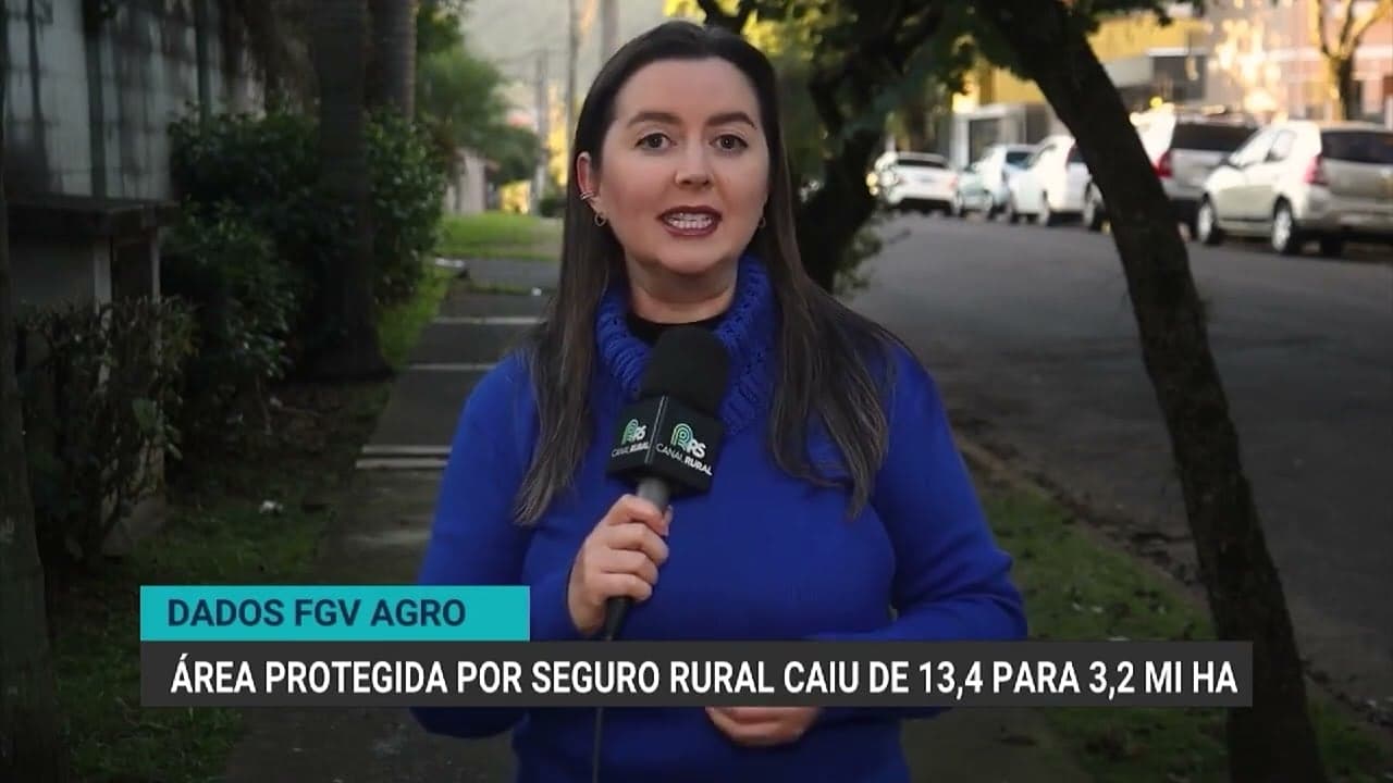 Seguro rural no Brasil sofre queda significativa até 2025