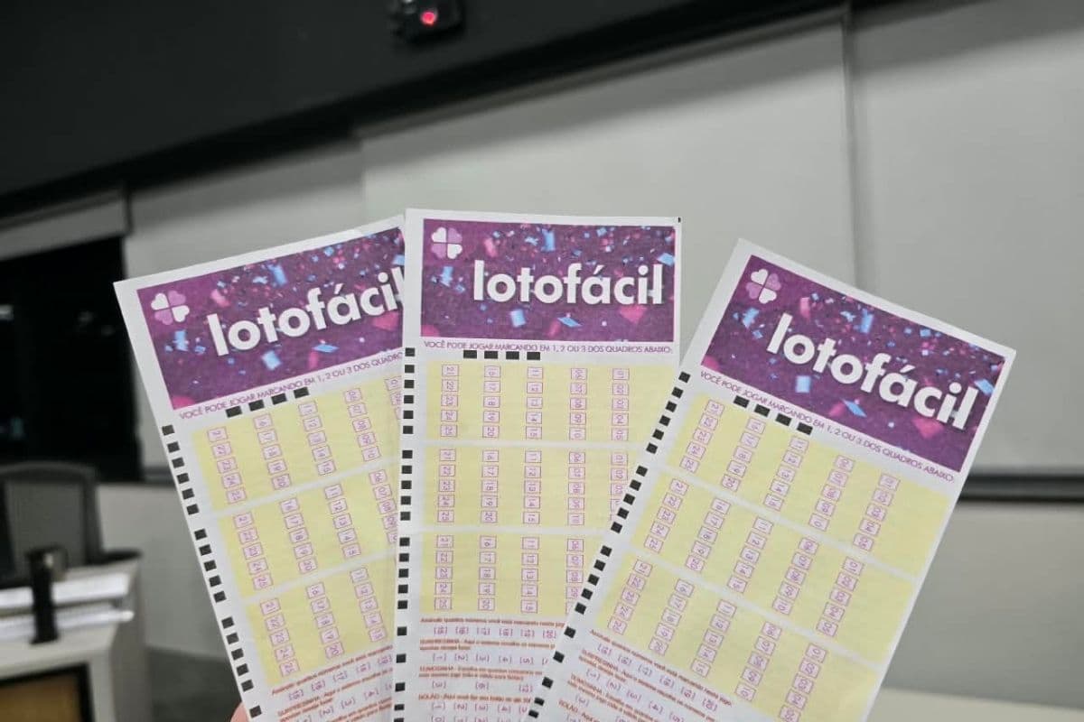 Resultado da Lotofácil de hoje: confira as 15 dezenas sorteadas no concurso 3771