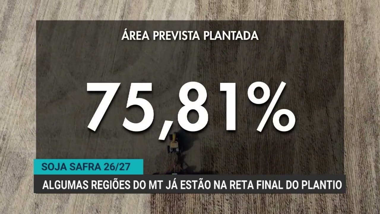 Plantio da soja em Mato Grosso avança para 75,81% da área até outubro
