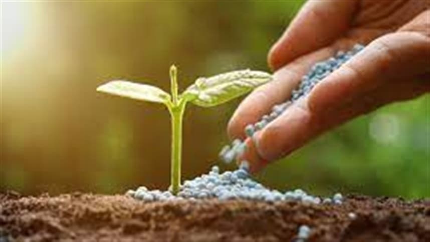 Chegam ao mercado novos fertilizantes avançados enriquecidos com magnésio