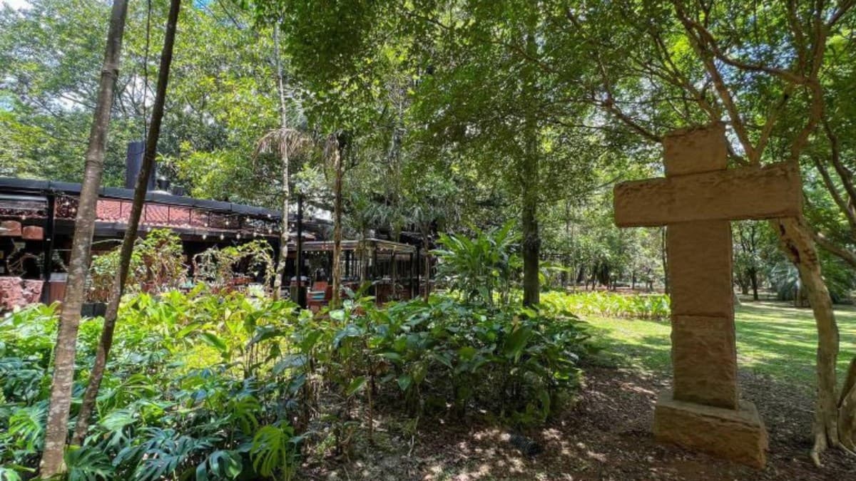 Antigo cemitério de animais é resgatado na história do Parque Ibirapuera