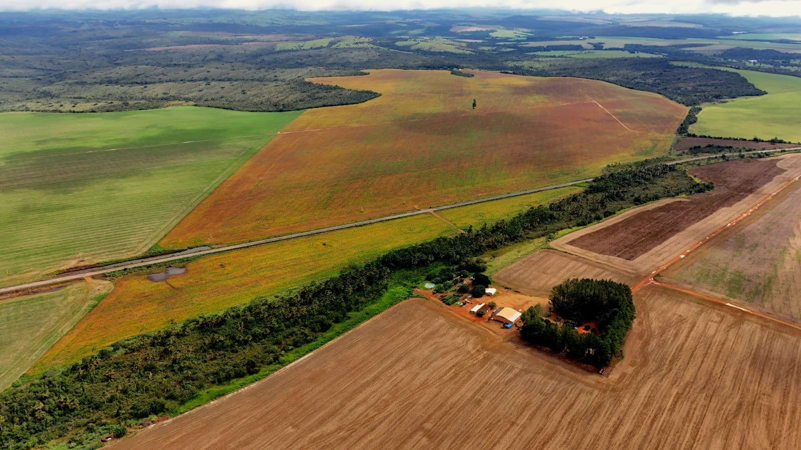 Fazenda em Ipameri vai a leilão para sanar dívidas de grupo agropecuário