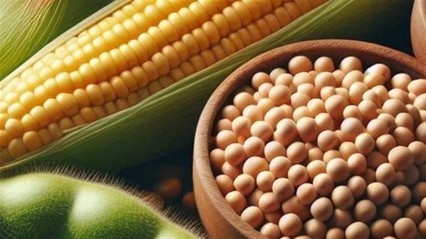 Mercado agrícola oscila com influência externa e commodities
