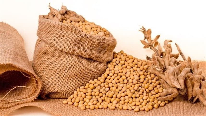 Mercados agrícolas mostram volatilidade nas cotações de commodities