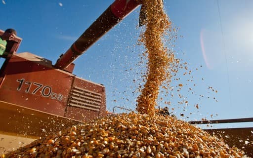 Mercados de commodities agrícolas apresentam volatilidade em outubro