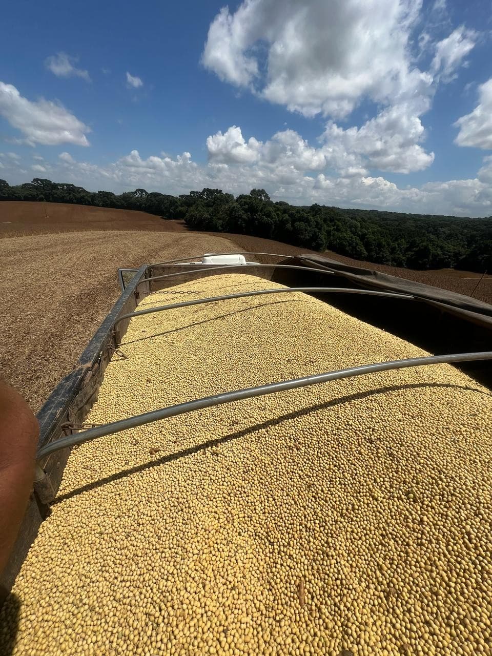Alta nos preços da soja no Brasil reflete mercado internacional