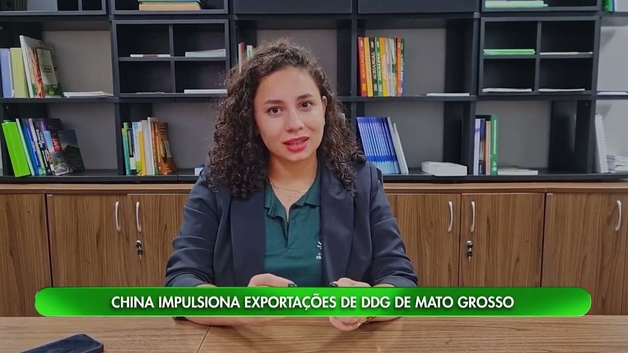Exportações de DDG em Mato Grosso crescem 35% até setembro de 2023