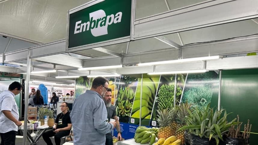 Embrapa participa do Abanorte Fruit Connections 2026 em MG