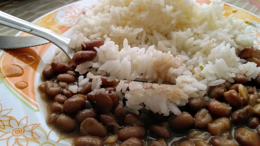 Medicamentos para emagrecimento e o futuro do arroz no Brasil